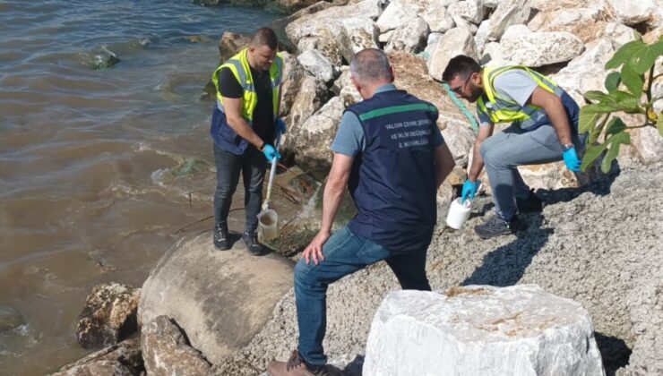 Denize atık su deşarj eden Yalova Belediyesi’ne 1,3 milyon lira ceza kesildi