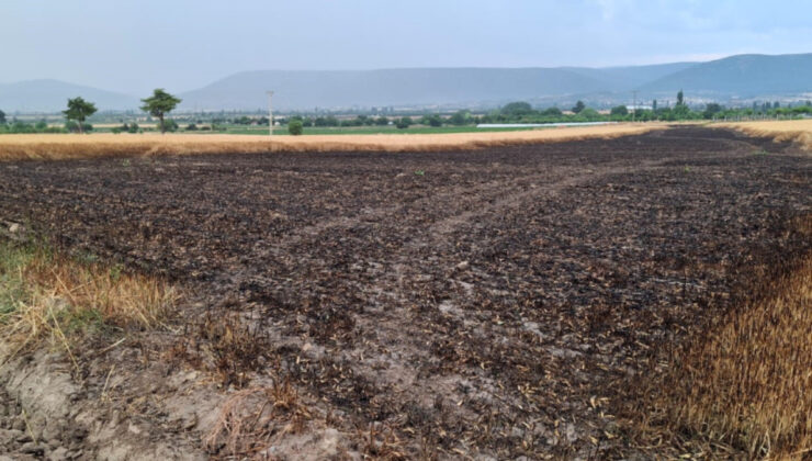 Denizli’de ekili toprağa düşen yıldırım 8 ton buğdayı kül etti