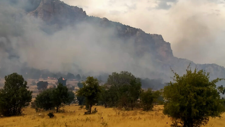 Diyarbakır’da yangın denetim altında