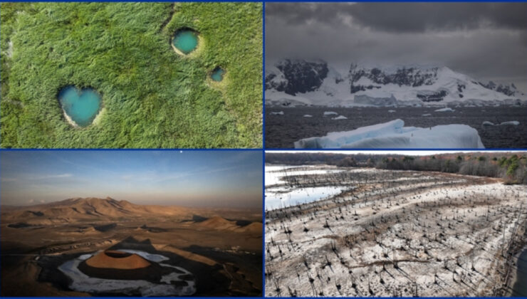 Dünya genelinde sulak alan kaybının bilançosu