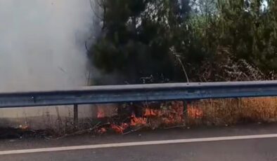 Düzce’de düğün konvoyunda yakılan meşale çamlık alanı yaktı