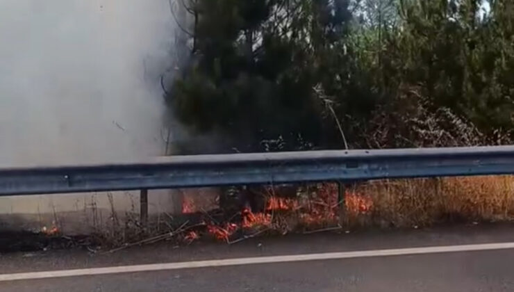 Düzce’de düğün konvoyunda yakılan meşale çamlık alanı yaktı