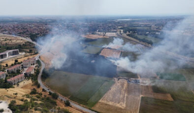 Edirne’de anız yangını: Yerleşim alanlarına gelmeden söndürüldü
