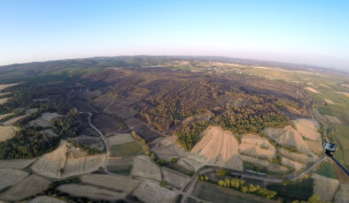 Edirne’deki orman yangınında ziyan gören alanlar görüntülendi