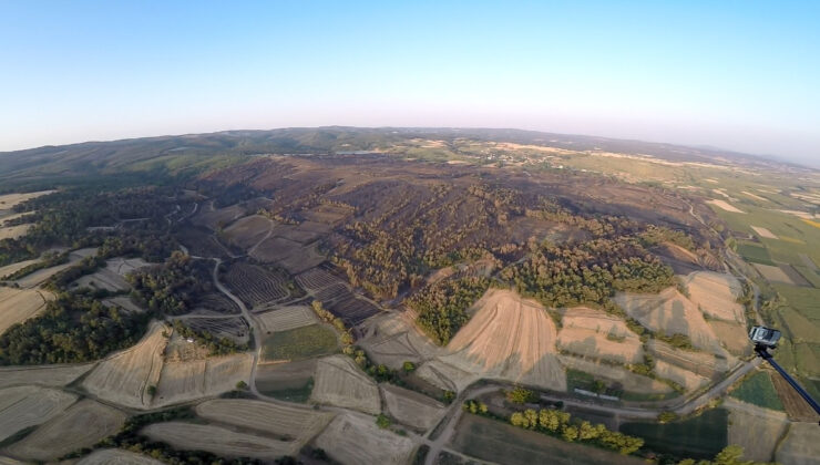 Edirne’deki orman yangınında ziyan gören alanlar görüntülendi