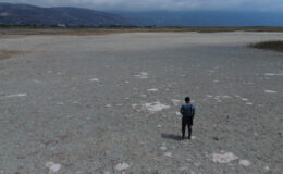 En kurak yılını yaşayan Hatay’da Milleyha Kuş Cenneti kuruyarak çöle döndü