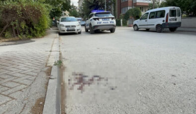 Eskişehir’de kayınçosunu vurup kaçan şahıs geri dönüp teslim oldu