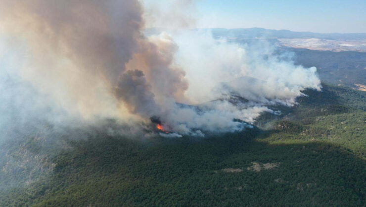 Eskişehir’de orman yangını paniği