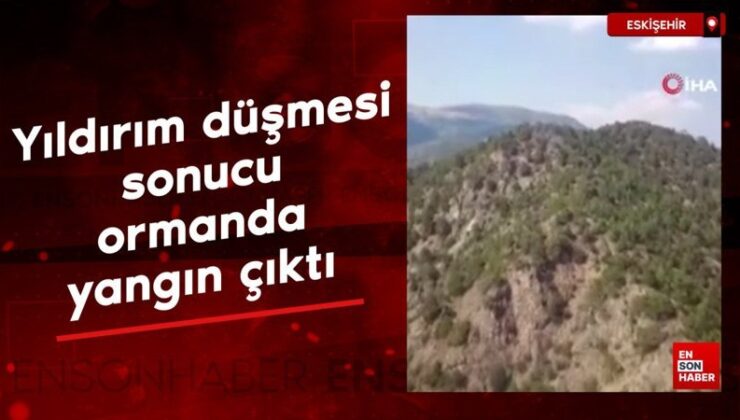 Eskişehir’de yıldırım düşmesi sonucu ormanda yangın çıktı