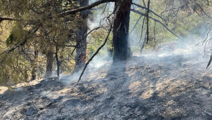 Eskişehir’de yıldırım düşmesi sonucu yangın çıktı: Havadan müdahale ile söndürüldü