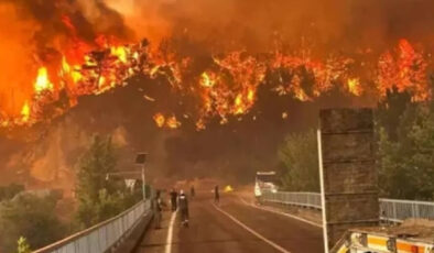 Eskişehir’deki orman yangınında şehit düşen çalışanların kimlikleri muhakkak oldu