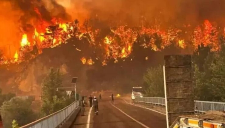 Eskişehir’deki orman yangınında şehit düşen çalışanların kimlikleri muhakkak oldu