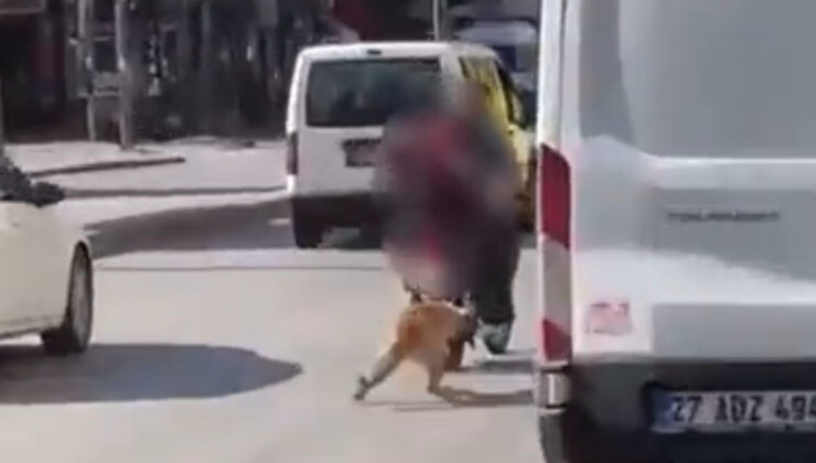 Gaziantep’te motosikletin gerisine bağladıkları köpeği sürüklediler