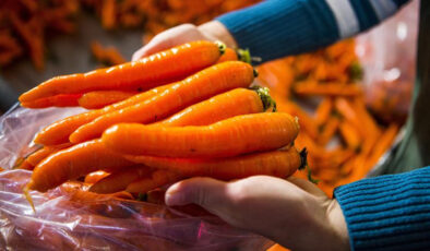 Güneşlenirken havuç yemek bakın ne işe yarayacak…