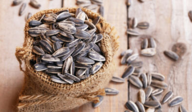 Her gün bir avuç çekirdek yerseniz ne olur? Yararları saymakla bitmiyor