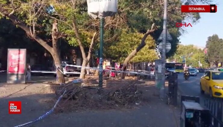 İstanbul Beşiktaş’ta kaldırımdaki yayaların üzerine ağaç devrildi