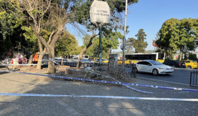 İstanbul Beşiktaş’ta üzerlerine ağaç devrilen gençler yaralandı