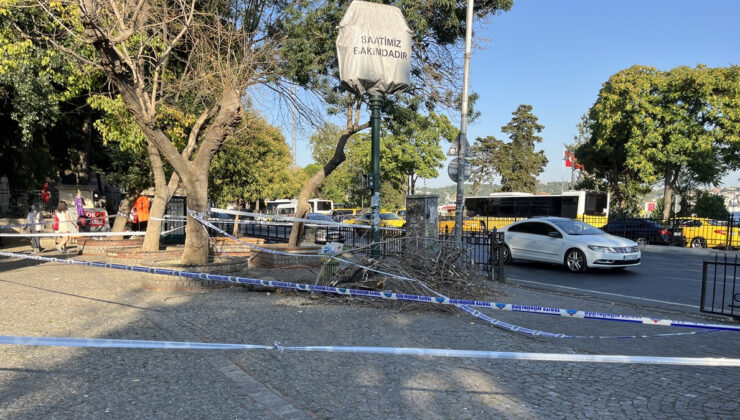 İstanbul Beşiktaş’ta üzerlerine ağaç devrilen gençler yaralandı