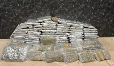 İstanbul Esenyurt’ta 144 kilogram skunk ele geçirildi