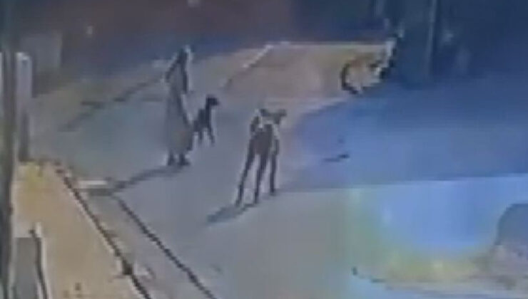 İstanbul’da başıboş sokak köpeklerinin saldırısı kamerada
