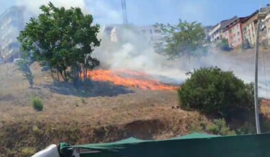 İstanbul’da boş yerde çıkan yangın söndürüldü