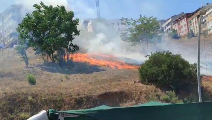 İstanbul’da boş yerde çıkan yangın söndürüldü
