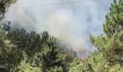 İstanbul’da otluk alanda çıkan yangın meskenlere sıçradı