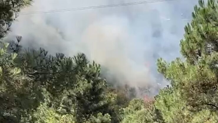 İstanbul’da otluk alanda çıkan yangın meskenlere sıçradı