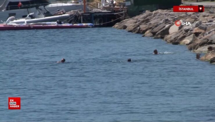 İstanbul’da sıcaktan bunalan devayı denize girmekte buldu
