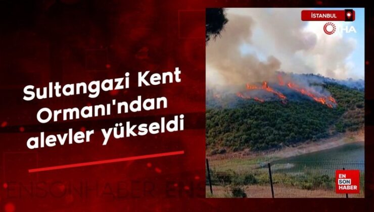 İstanbul’da Sultangazi Kent Ormanı’ndan alevler yükseldi