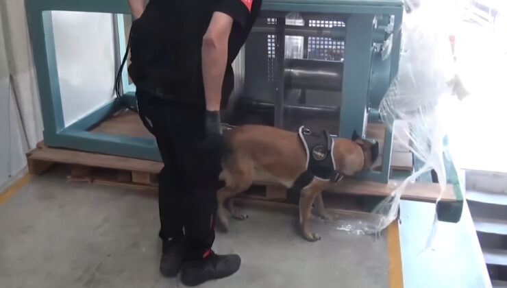 İstanbul’da uyuşturucu operasyonu: 60 kilogram kokain ele geçirildi