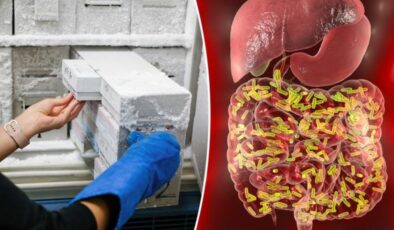 İsviçre’deki bilim insanları insan dışkısını donduruyor