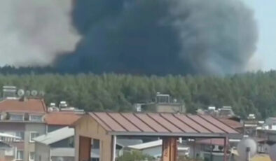 İzmir’de çıkan orman yangınında son durum: Denetim altına alındı