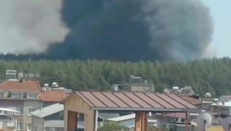 İzmir’de çıkan orman yangınında son durum: Denetim altına alındı