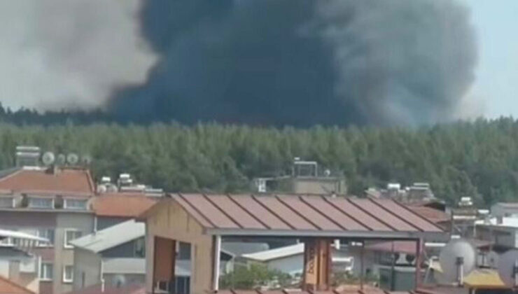 İzmir’de orman yangını