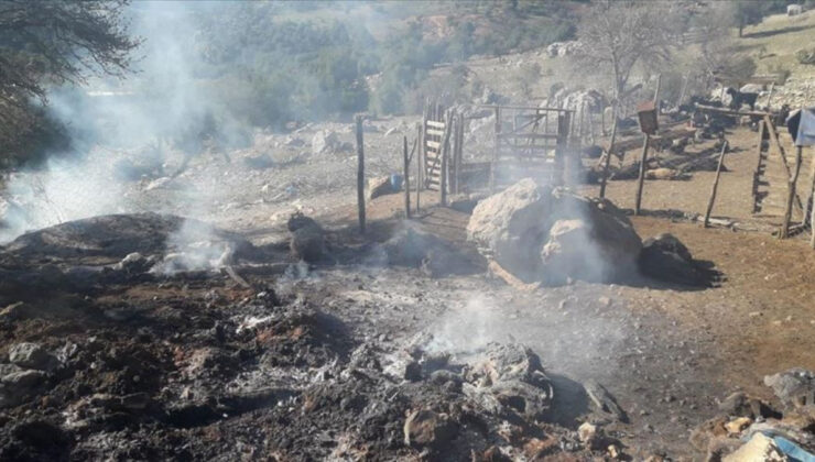 İzmir’de yeni hayvan ve kovan dağıtımı başladı