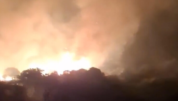 İzmir’deki maki yangını 8 saatte denetim altına alındı