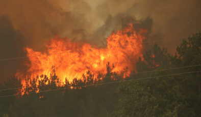 Karabük’te bir gündür süren orman yangını yine alevlendi