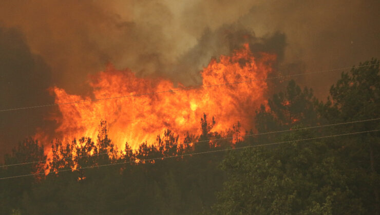 Karabük’te bir gündür süren orman yangını yine alevlendi