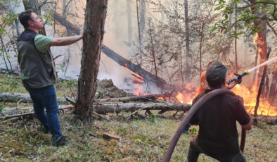 Karabük’te ormanlık alanda çıkan yangın denetim altına alındı