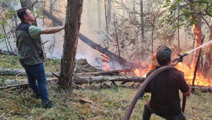 Karabük’te ormanlık alanda çıkan yangın denetim altına alındı