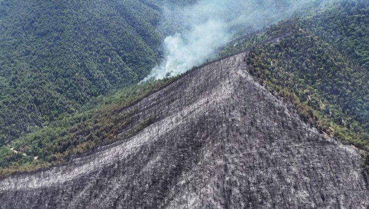 Karabük’teki orman yangını sonrası oluşan hasar havadan görüntülendi