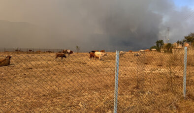 Karabük’teki orman yangınlarında son durum