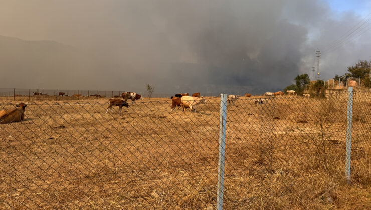 Karabük’teki orman yangınlarında son durum