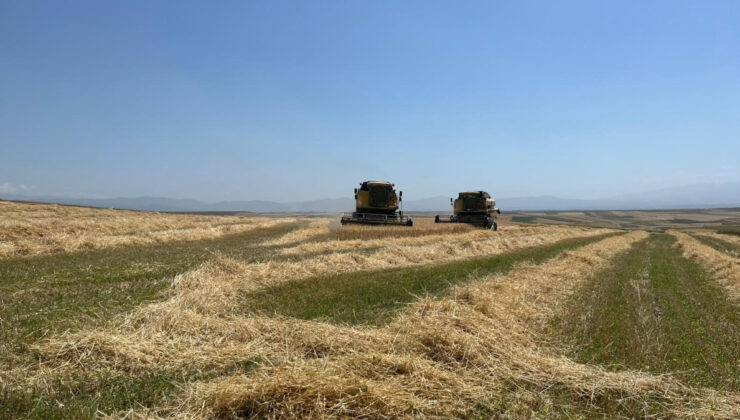 Kars’ta Cet tohumu arpa ile rahmet fışkırdı