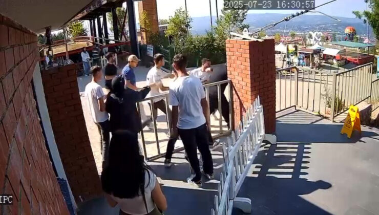 Kocaeli’de Arap turistten 4 fotoğraf için 2 bin 400 TL isteyip karşı çıkan sürücüsü dövdüler