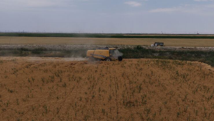 Konya Ovası’nda, kuraklık ve don tehlikesi: 1 milyon ton rekolte düşüşü bekleniyor