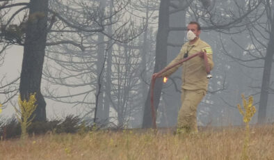 Konya’daki orman yangını 2’nci gününde