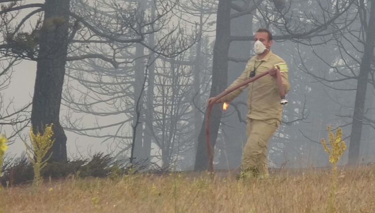 Konya’daki orman yangını 2’nci gününde