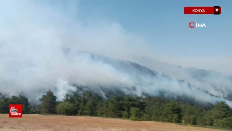 Konya’daki orman yangını denetim altına alındı